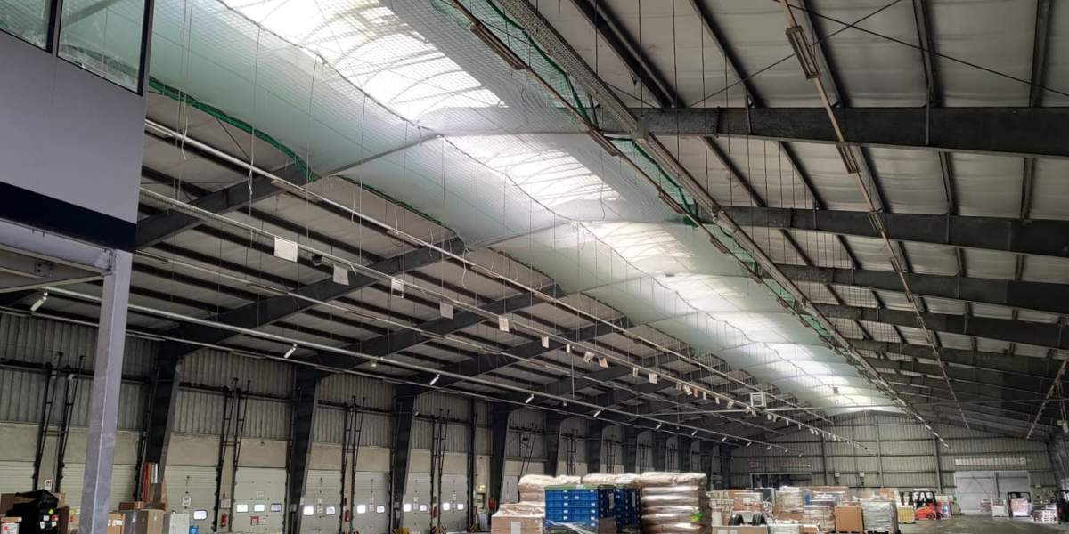 Personenauffangnetz zur Sanierung eines Lichtbandes in einer Halle in Fulda